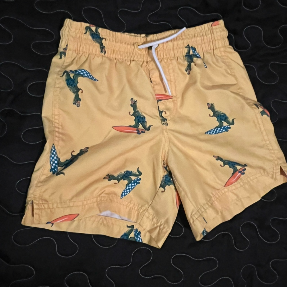 Dinosaur Print Swim Shorts